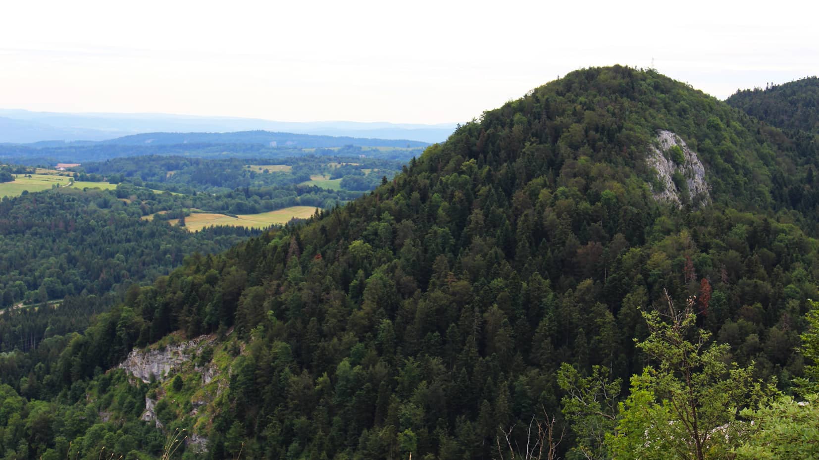 GROUPEMENT FORESTIER D INVESTISSEMENT Diversifier son patrimoine dans des forêts françaises placement pour expatrié (1) GROUPEMENT FORESTIER D INVESTISSEMENT Diversifier son patrimoine dans des forêts françaises placement pour expatrié (1)