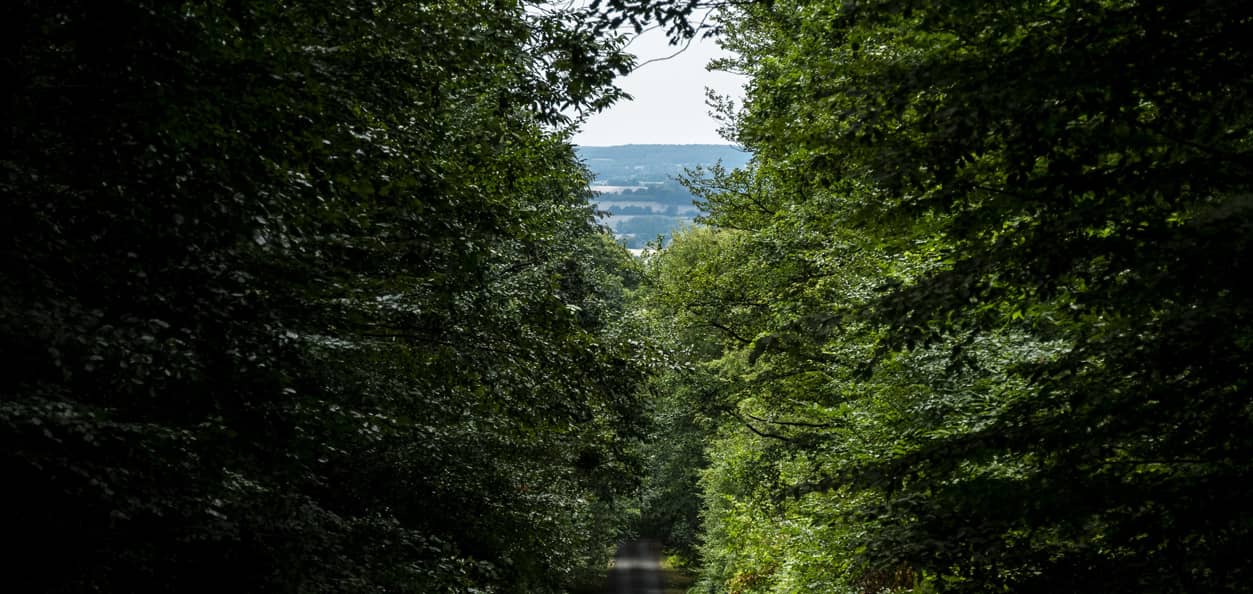 Placement pour expatriés dans un Groupement Forestier d Investissement GFI en France (1)